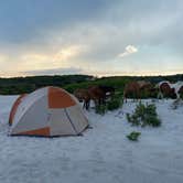 Review photo of Bayside Assateague Campground — Assateague Island National Seashore by Kenneth K., September 6, 2022