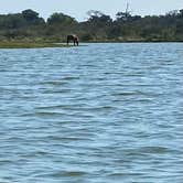 Review photo of Bayside Assateague Campground — Assateague Island National Seashore by Kenneth K., September 6, 2022