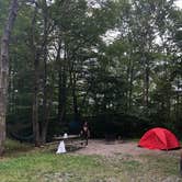 Review photo of Tobyhanna State Park Campground by Daniel G., September 6, 2022