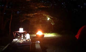 Daniel G.'s photo at Tobyhanna State Park Campground near Thornhurst, PA