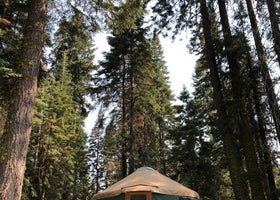 Sequoia National Forest Quaking Aspen Campground