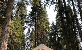 Emily's photo of glamping accommodations at Sequoia National Forest Quaking Aspen Campground near Sequoia and Kings Canyon National Parks