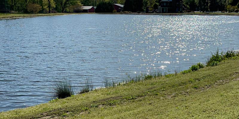 Camper submitted image from The Oasis at Lake Serenity