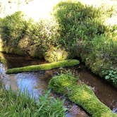 Review photo of Three Creeks Lake Campground by Candice K., July 25, 2018