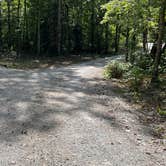 Review photo of Greeter Falls Campground by Thomas H., September 6, 2022