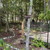 Review photo of Greeter Falls Campground by Thomas H., September 6, 2022