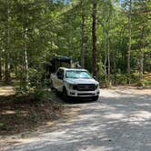 Review photo of Greeter Falls Campground by Thomas H., September 6, 2022
