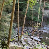 Review photo of Greeter Falls Campground by Thomas H., September 6, 2022