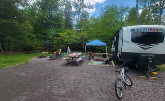 Jen R.'s photo of rv camping at Ricketts Glen State Park Campground near Berwick, PA