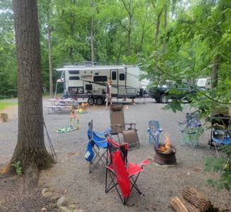 Camper-submitted photo from Dogwood Acres Campground