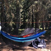 Review photo of Cultus Creek Campground by Megan D., July 25, 2018