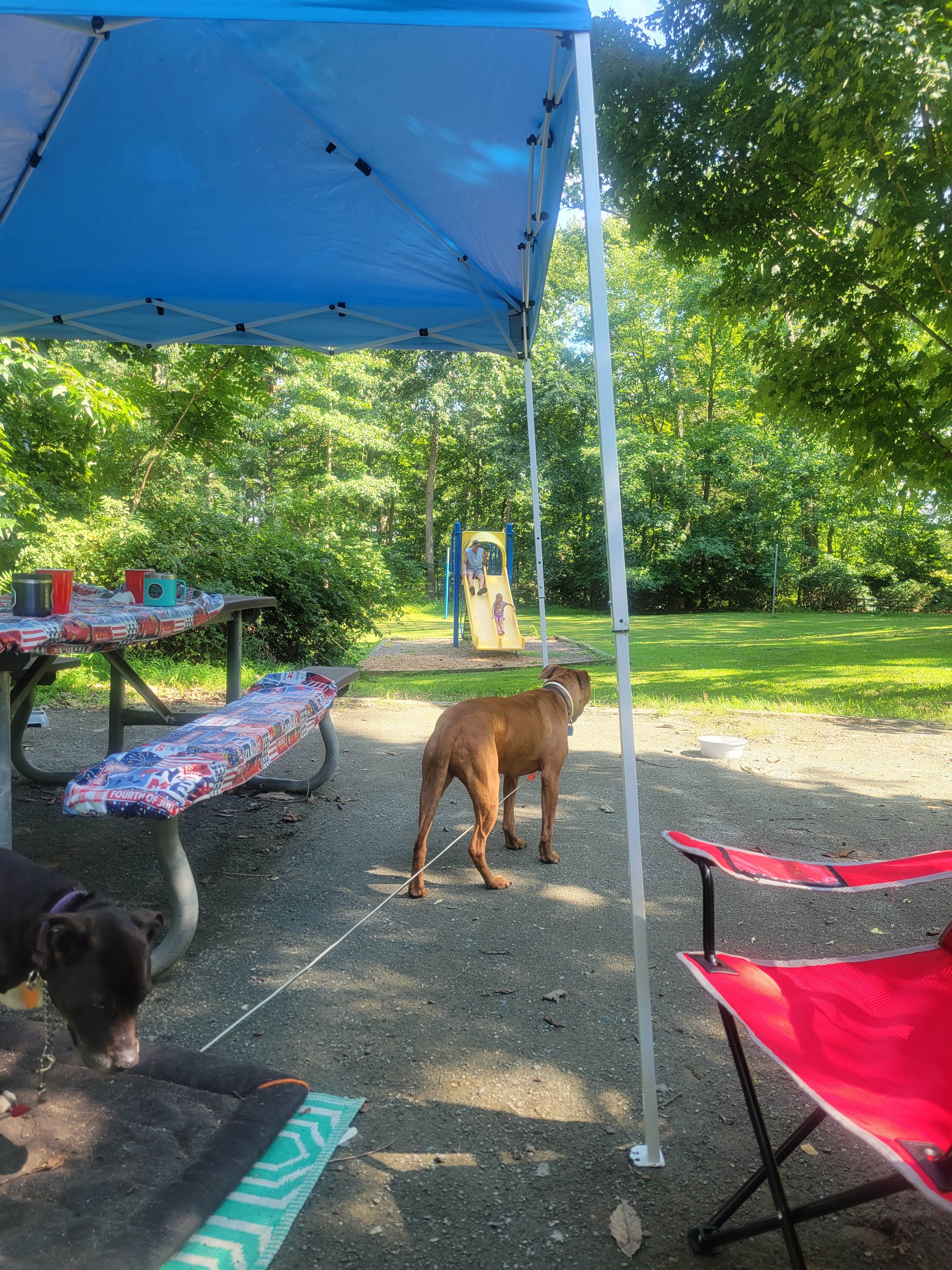 Jen R.'s photo of camping with pets at Elk Neck State Park Campground near Smyrna, DE