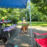 Review photo of Elk Neck State Park Campground by Jen R., September 6, 2022