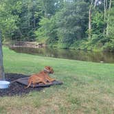 Review photo of Paradise Stream Family Campground by Jen R., September 6, 2022