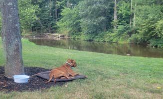 Jen R.'s photo of camping with pets at Paradise Stream Family Campground near McClure, PA