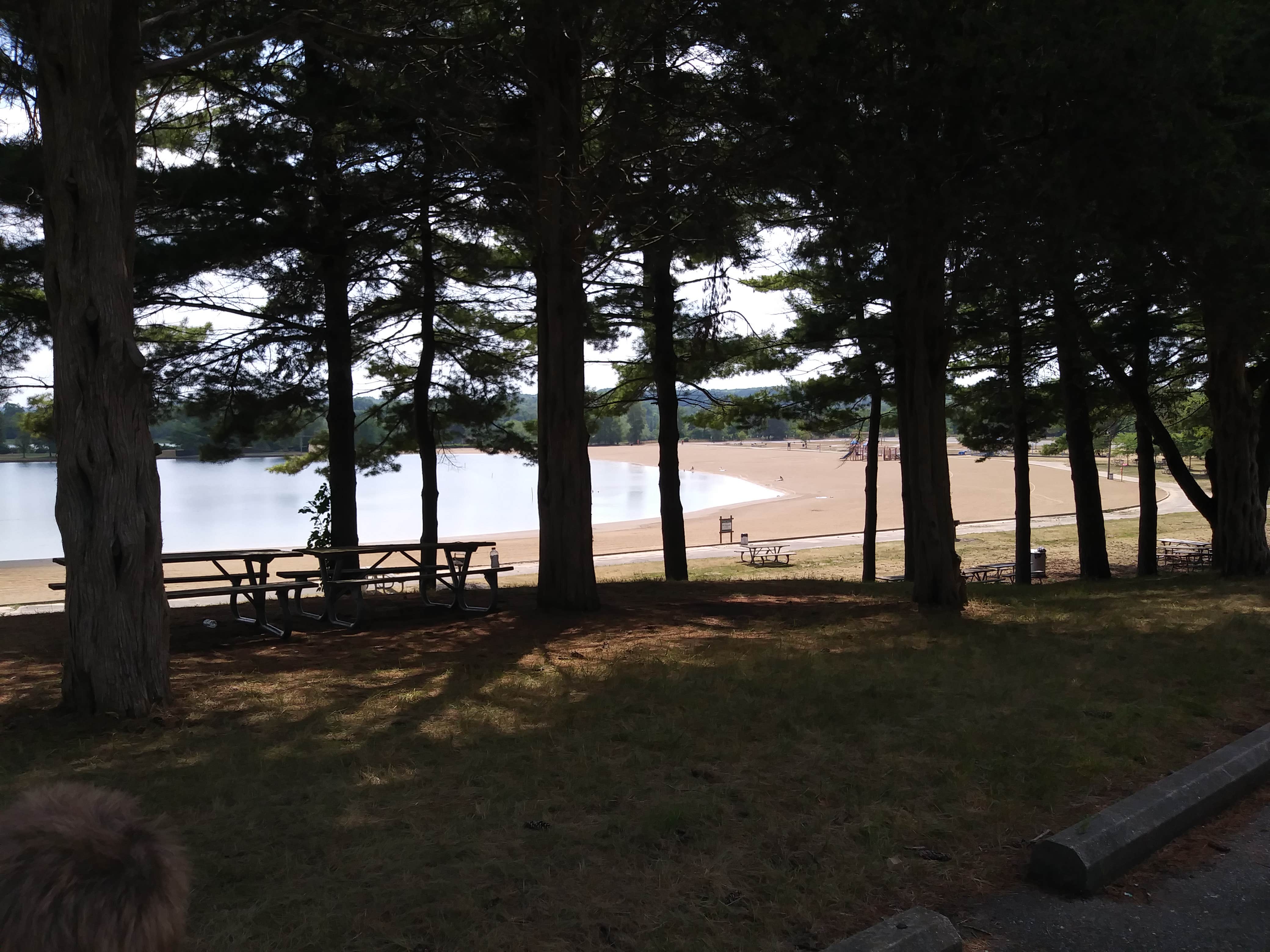 Camper-submitted photo at Camp Dearborn near Dearborn Heights, MI