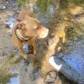 Review photo of Cowans Gap State Park Campground by Jen R., September 6, 2022