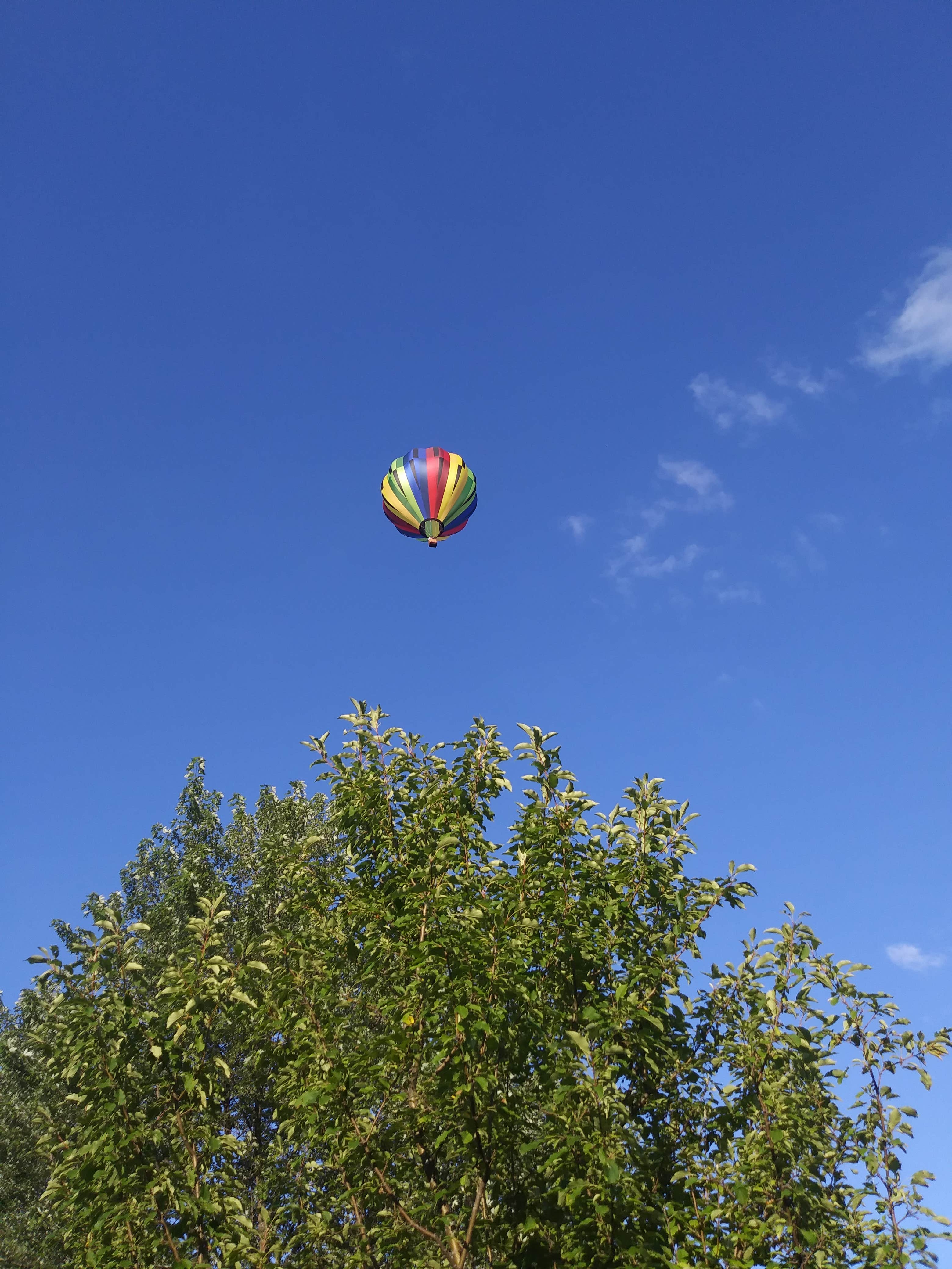 Camper-submitted photo at Camp Dearborn near Dearborn Heights, MI