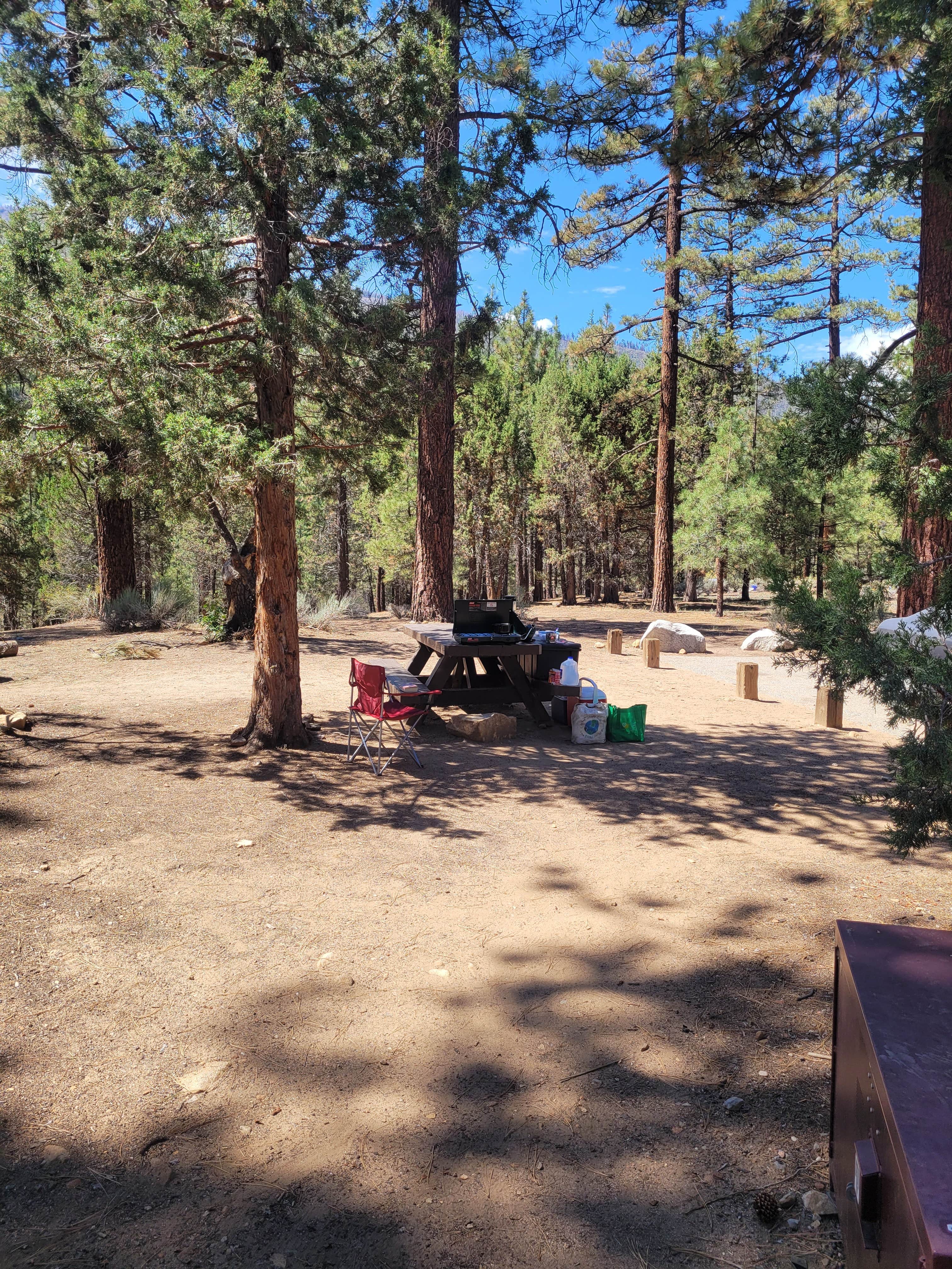 Glen L.'s photo at Heart Bar Campground near Morongo Valley, CA