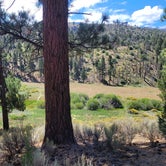 Review photo of Heart Bar Campground by Glen L., September 6, 2022