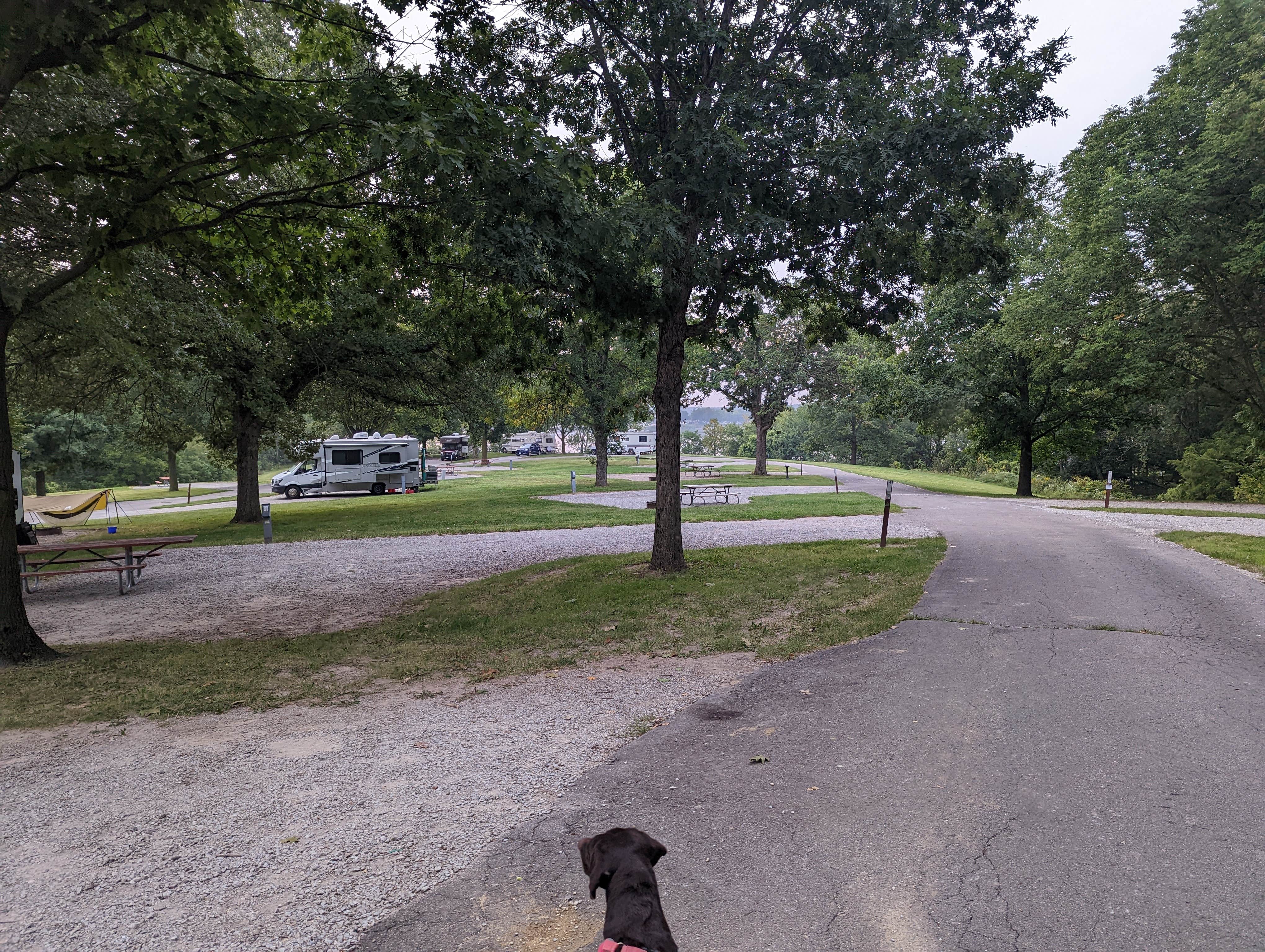 Camper-submitted photo at Sandy Beach Camp near Swisher, IA