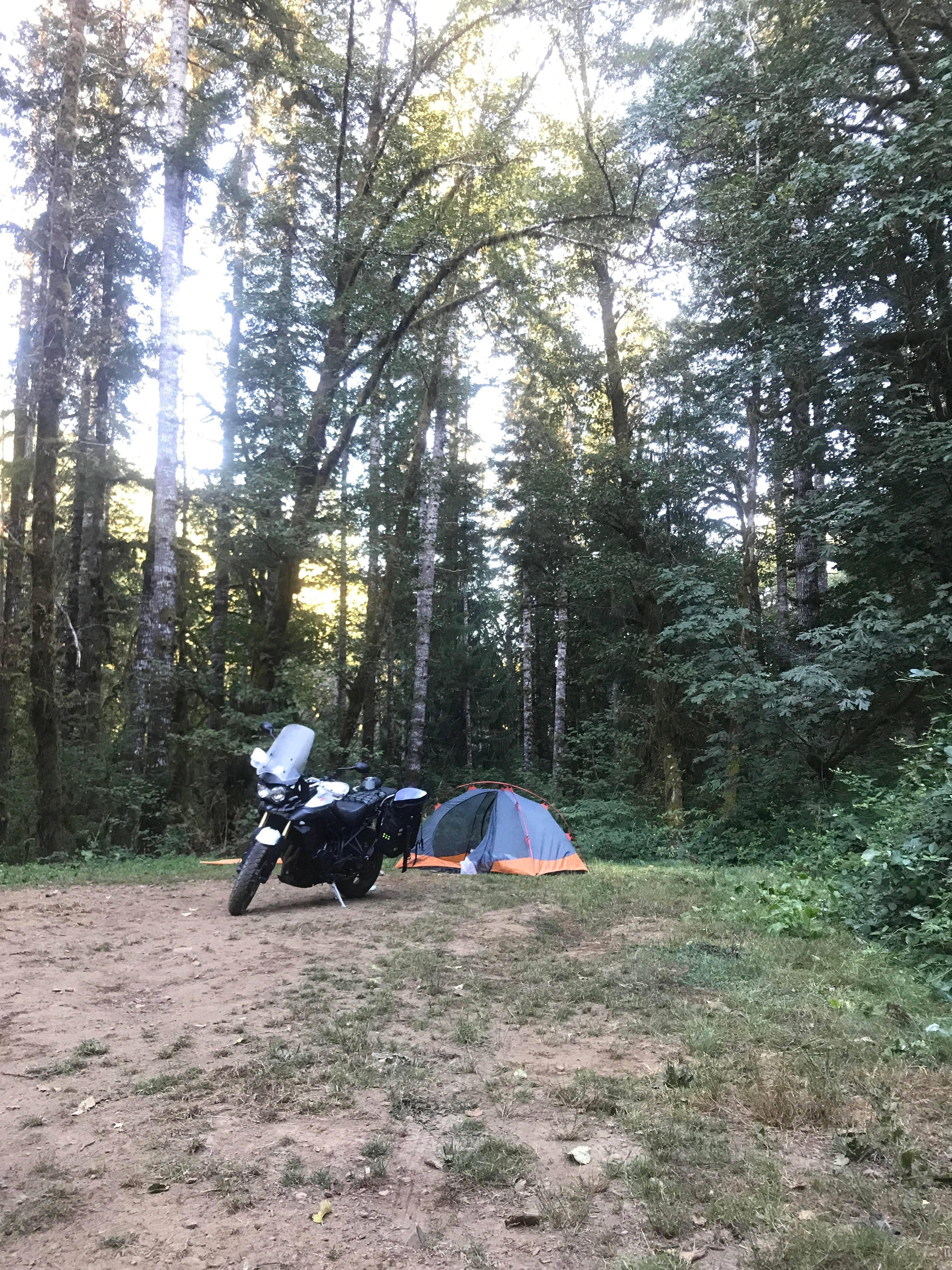 Tillamook State Forest Dispersed Camping Camping Tillamook State