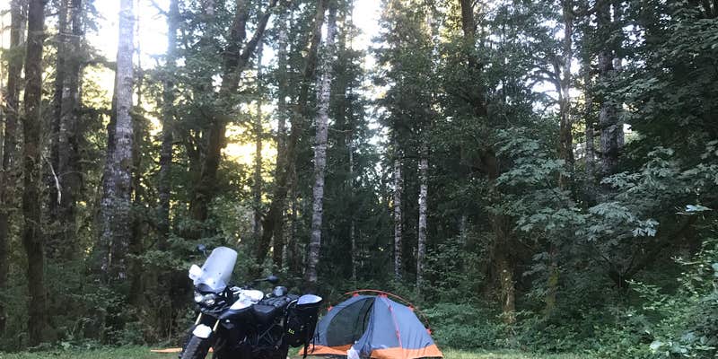 Camper submitted image from Cook Creek