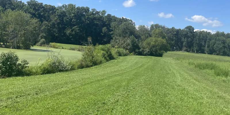 Camper submitted image from The Burton Family Farm