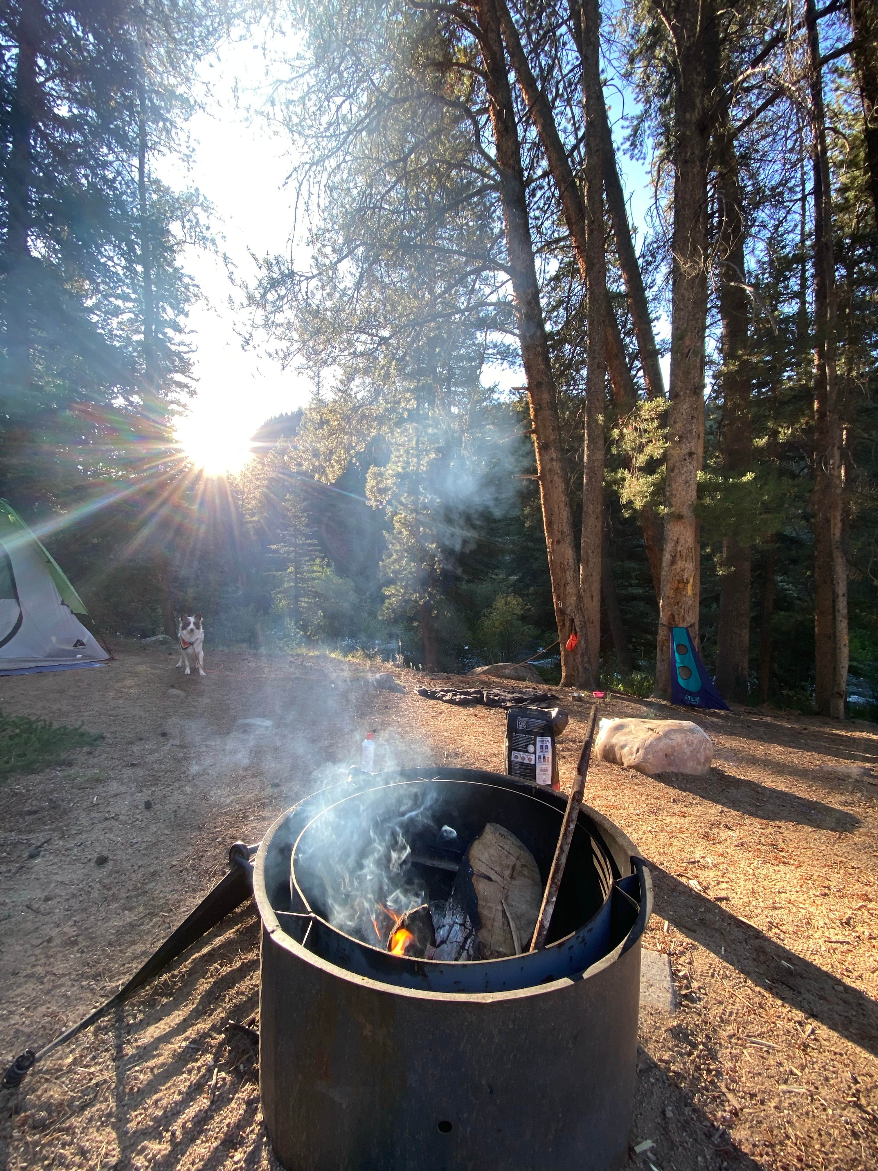 Camper-submitted photo at North Bank Campground near Almont, CO