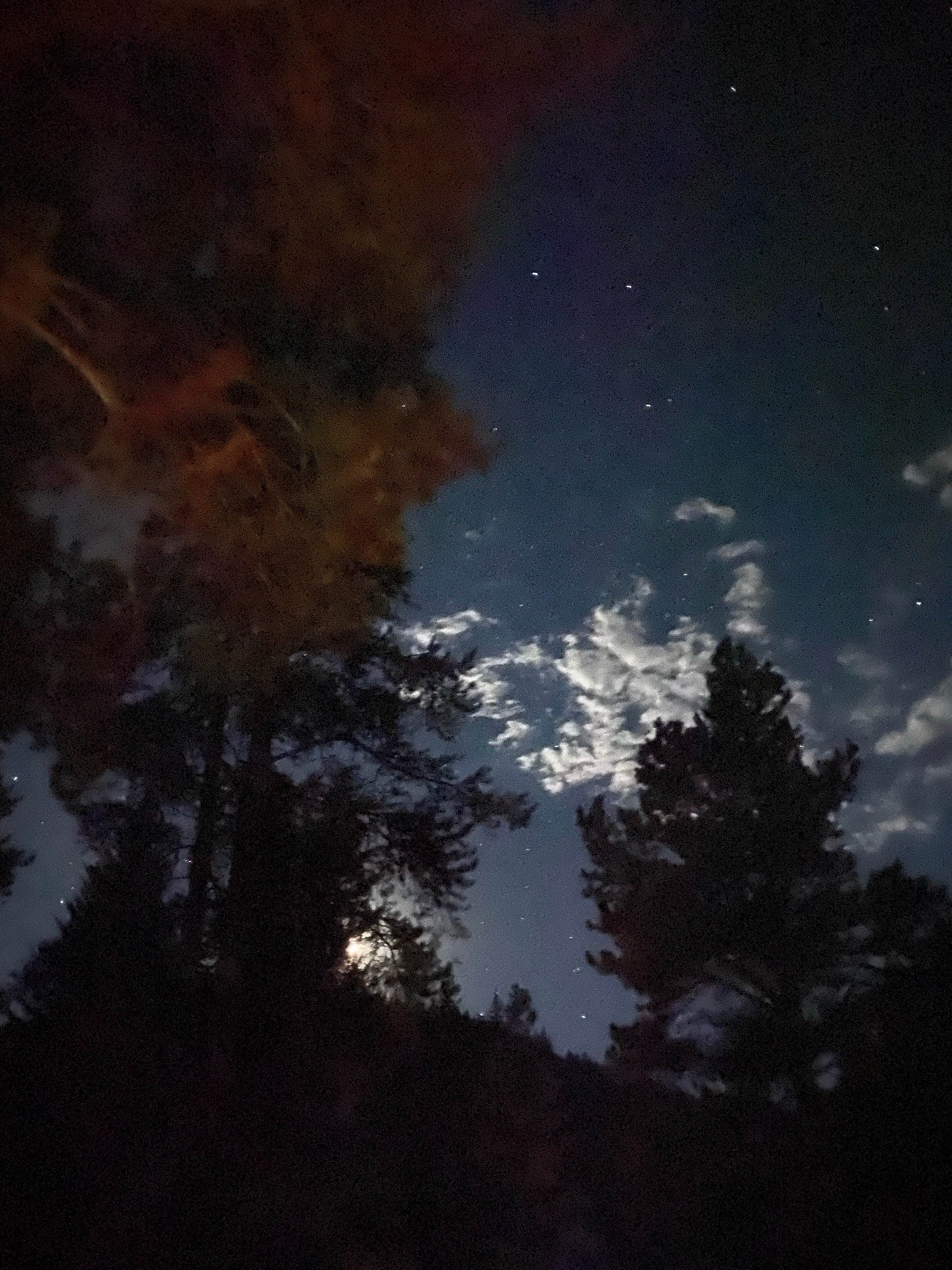 Camper-submitted photo at North Bank Campground near Almont, CO