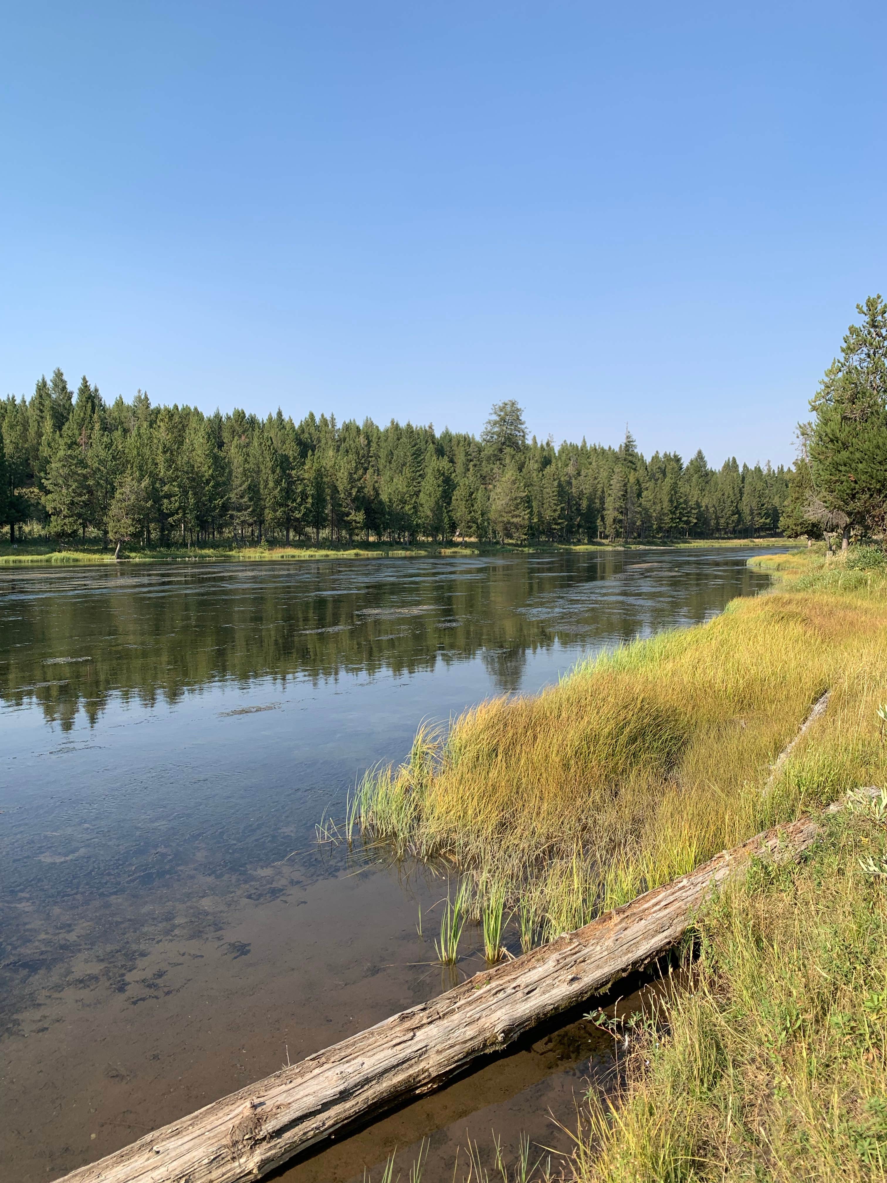 Camper submitted image from Yellowstone RV Park at Mack’s Inn - 3