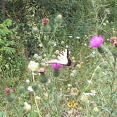 Review photo of Minneiska Campground — Whitewater State Park by Deanna J., September 6, 2022