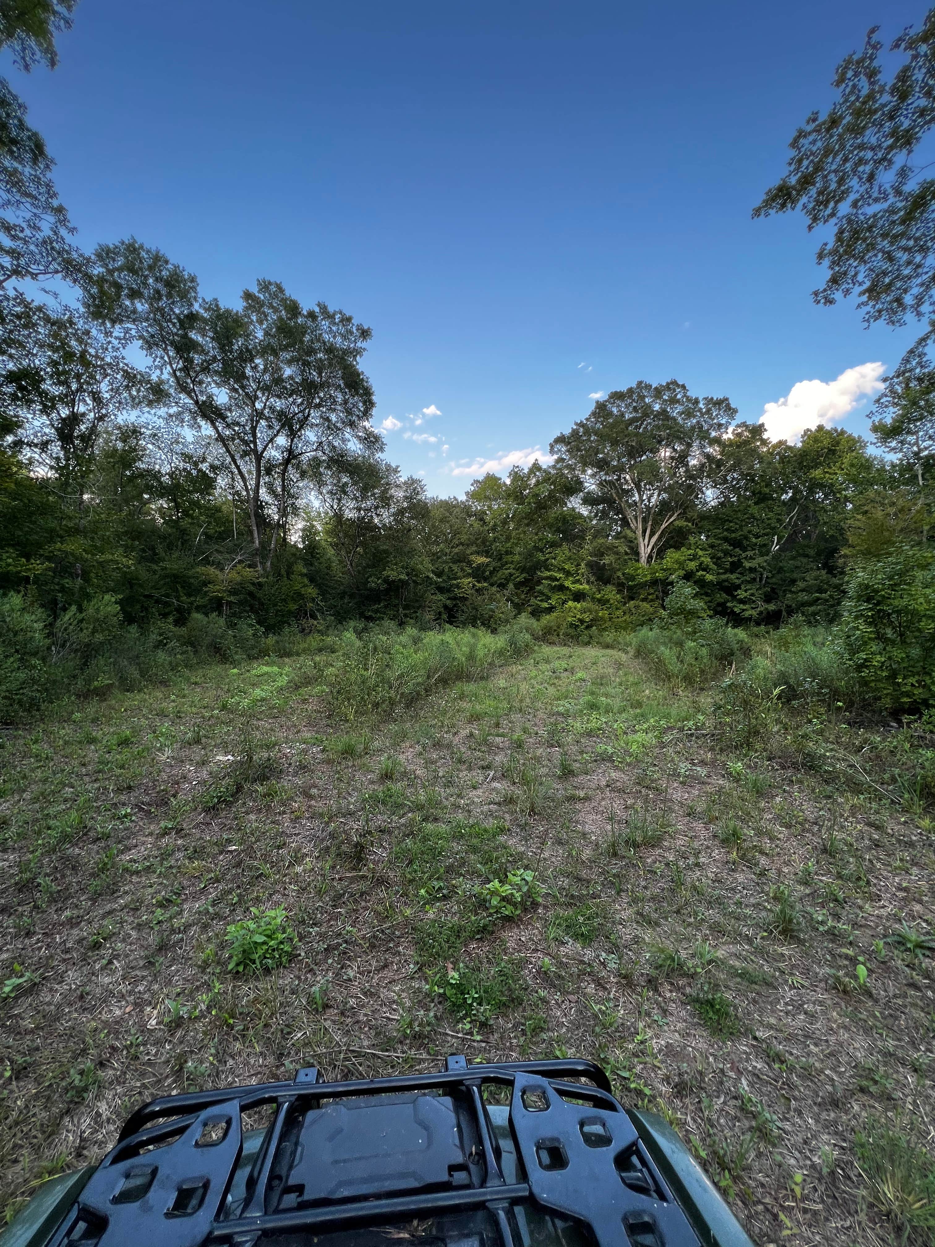 Camper-submitted photo at Camp Quapaw near Tatum, TX