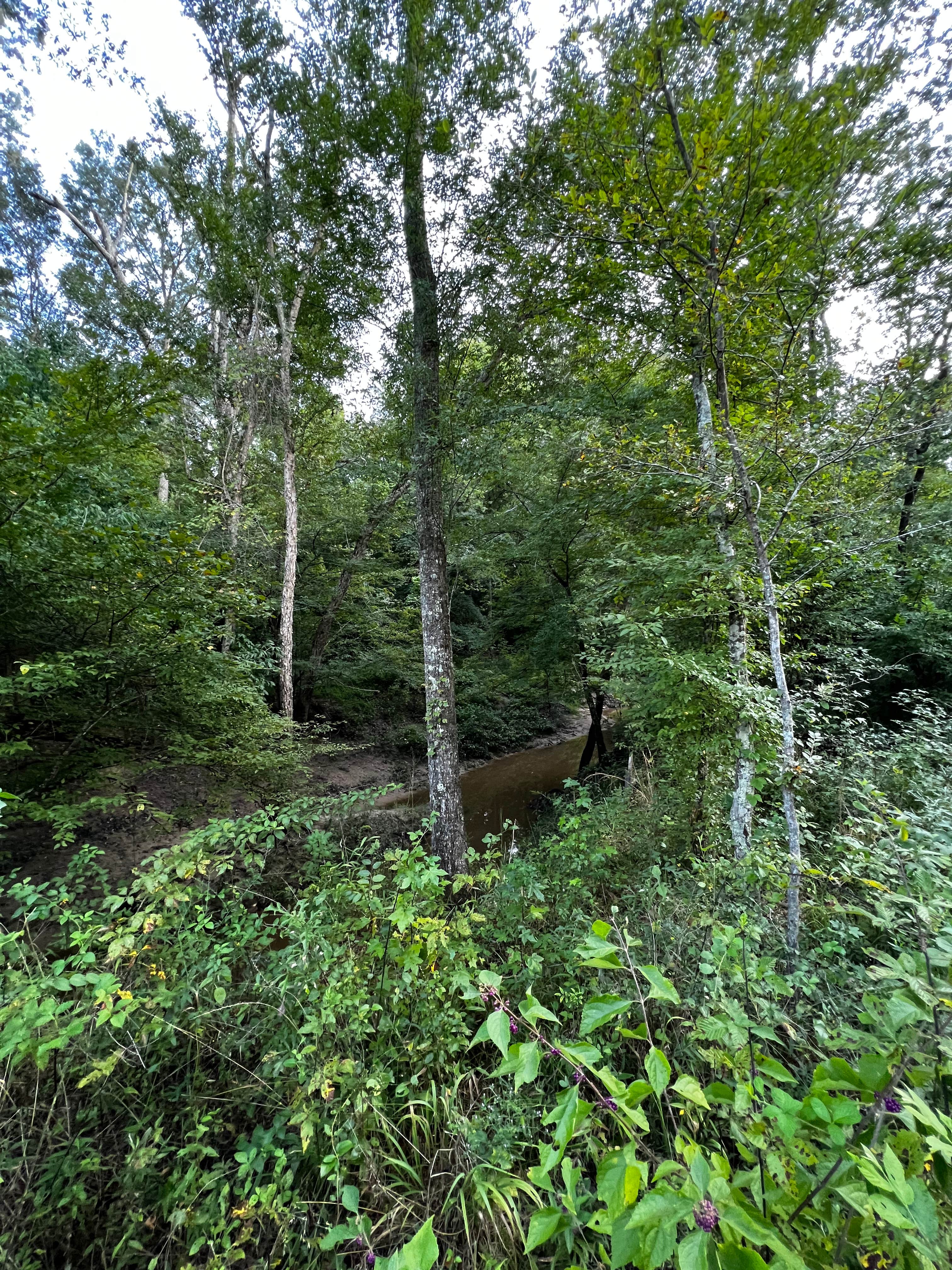 Camper-submitted photo at Camp Quapaw near Tatum, TX