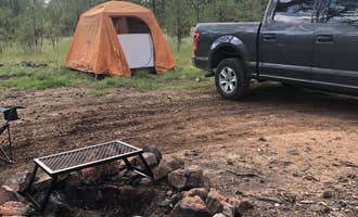 Camping near Blue Ridge Reservoir: Gonzo’s Place Dispersed USFS, Happy Jack, Arizona