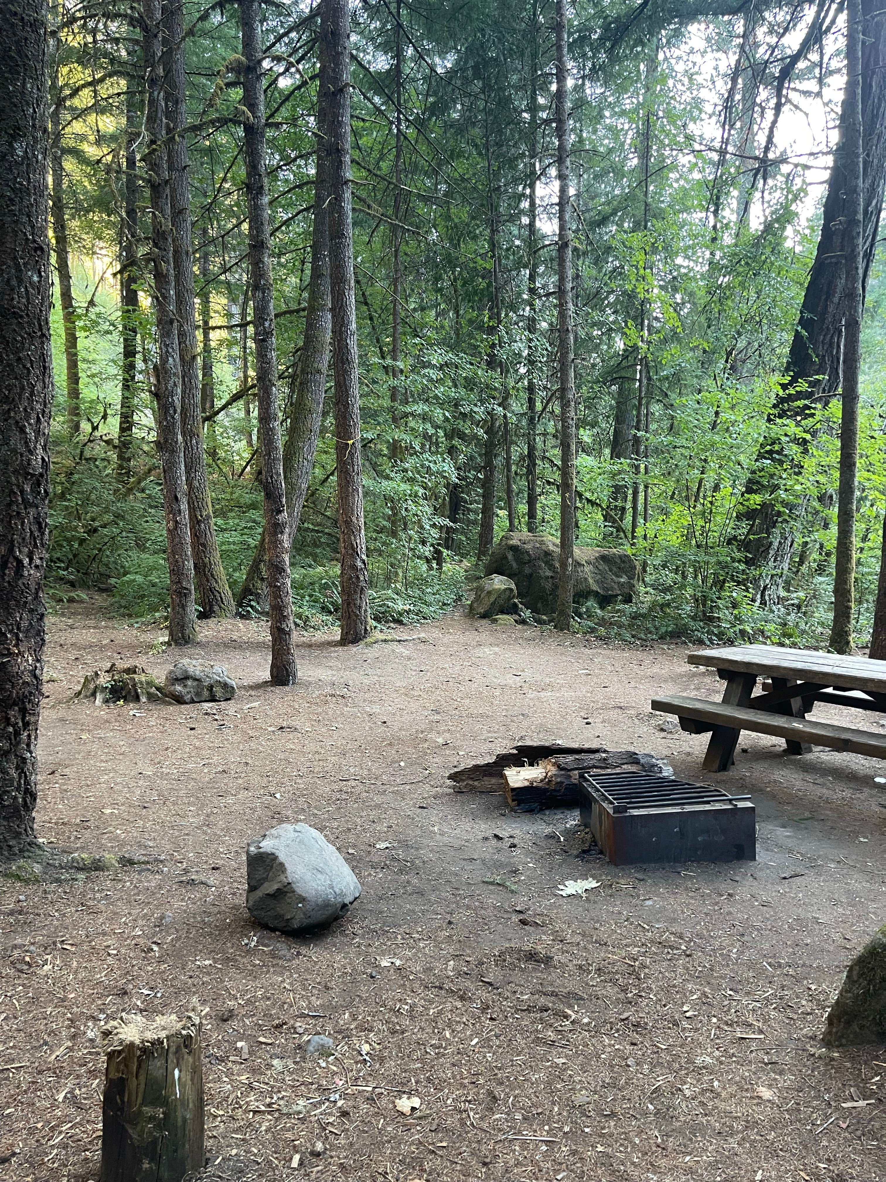 Camper-submitted photo at Boulder Flat Campground near Umpqua National Forest