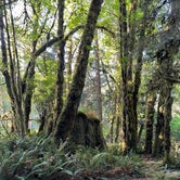 Review photo of Mill Creek Campground — Del Norte Coast Redwoods State Park by Jaclynn M., September 7, 2022