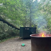 Review photo of Mill Creek Campground — Del Norte Coast Redwoods State Park by Jaclynn M., September 7, 2022