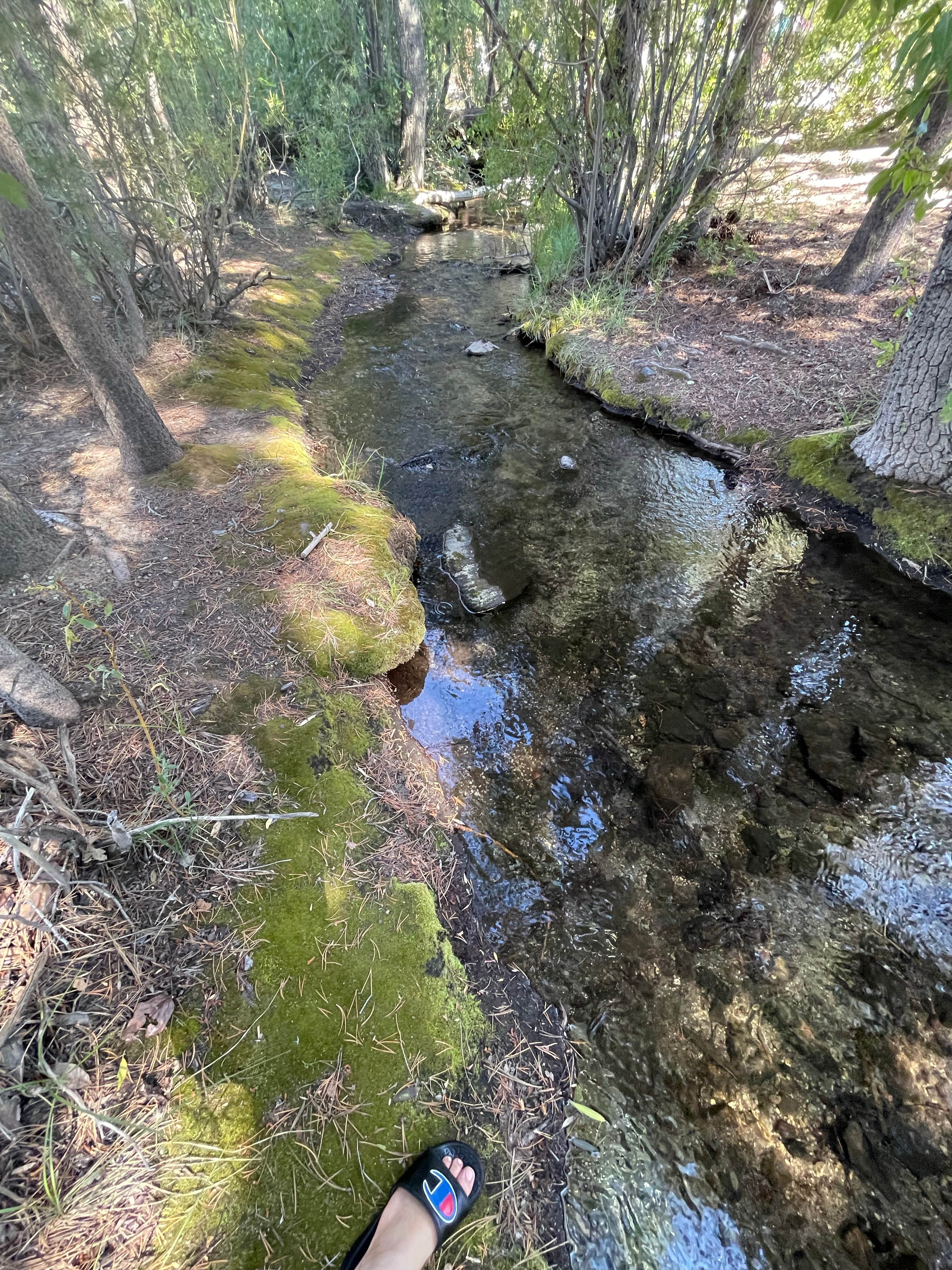 Camper-submitted photo at Glass Creek near June Lake, CA