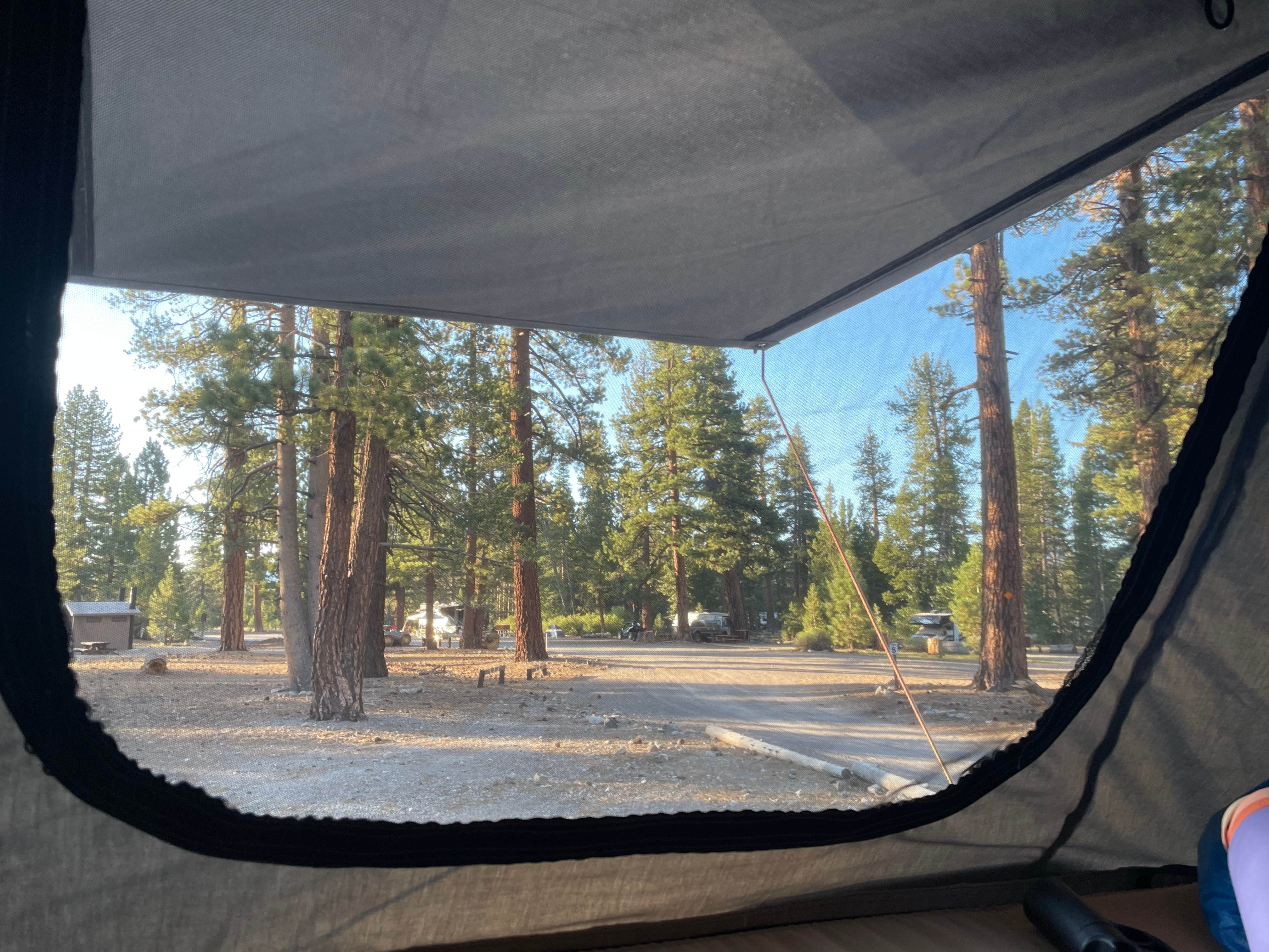 Camper-submitted photo at Glass Creek near June Lake, CA