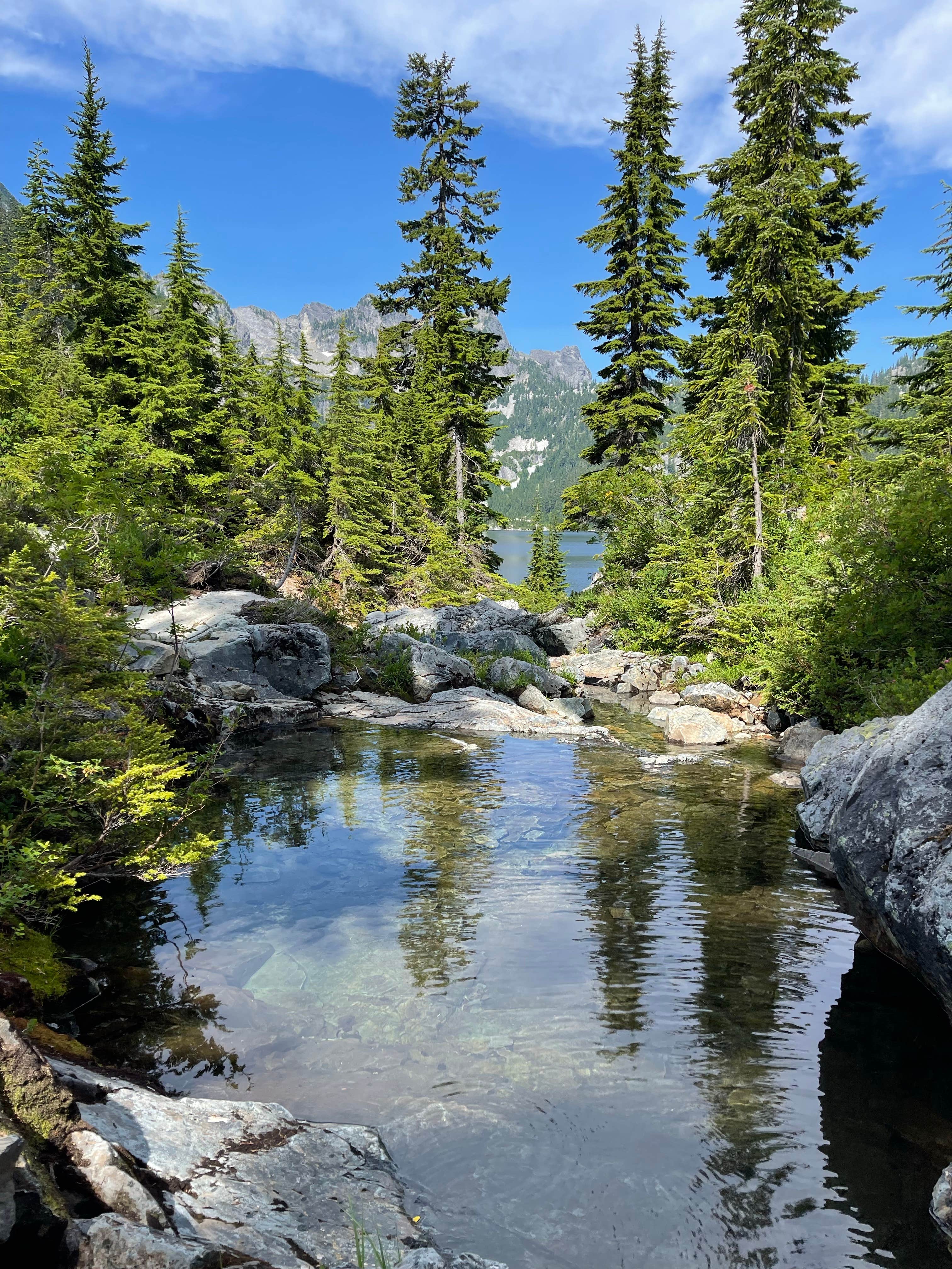 Camper-submitted photo at Snow Lake Backcountry Campsites — Mount Rainier National Park near Paradise, WA
