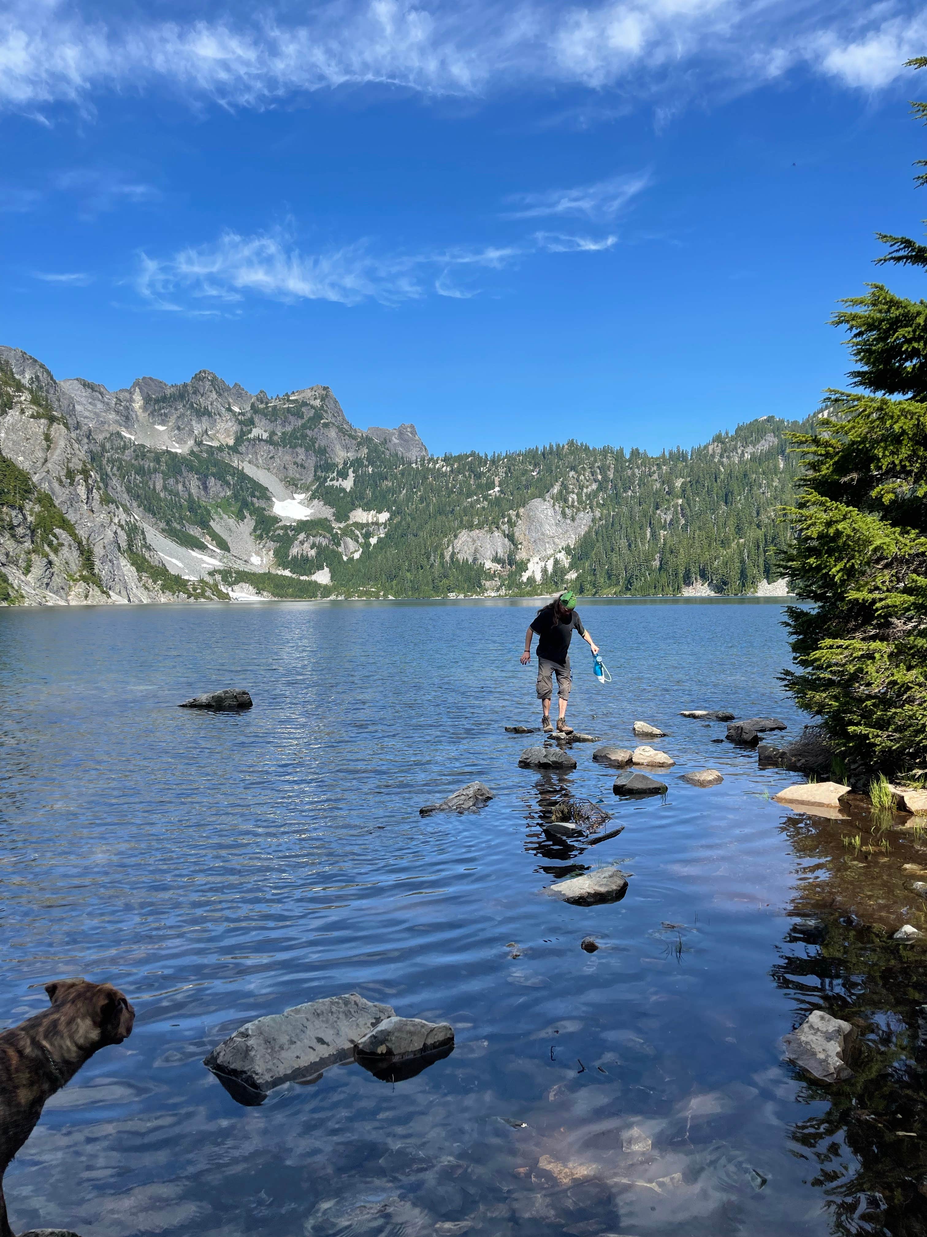 Jaclynn M.'s photo of camping with pets at Snow Lake Backcountry Campsites — Mount Rainier National Park near Randle, WA