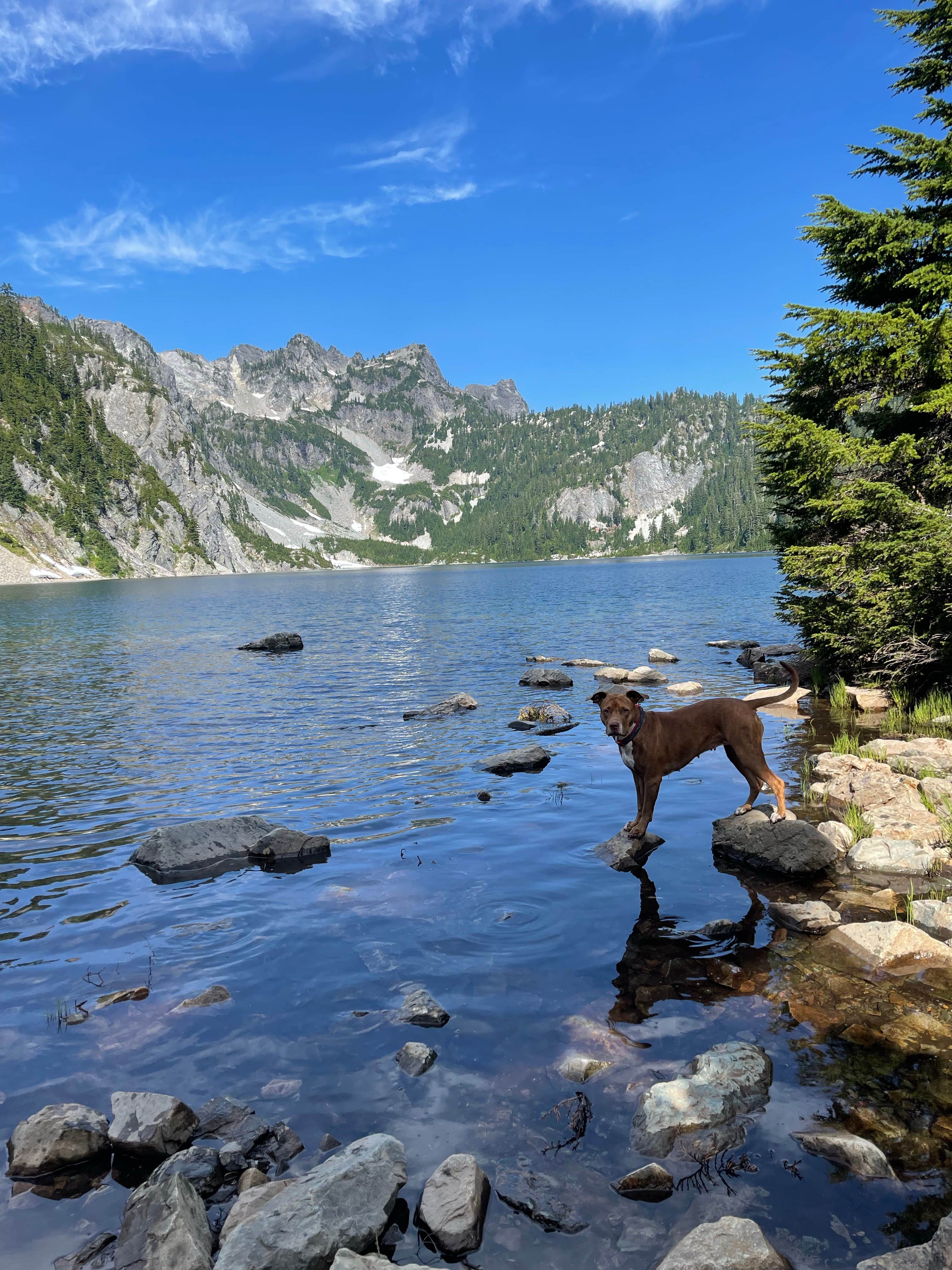 Camper-submitted photo at Snow Lake Backcountry Campsites — Mount Rainier National Park near Paradise, WA