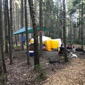 Review photo of Seawall Campground — Acadia National Park by Kevin D., July 25, 2018