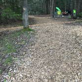 Review photo of Seawall Campground — Acadia National Park by Kevin D., July 25, 2018