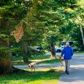 Review photo of Lower Falls Campground — Tahquamenon Falls State Park by MickandKarla W., September 7, 2022