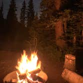 Review photo of Alta Lakes Campground (Dispersed) by Emily G., September 7, 2022
