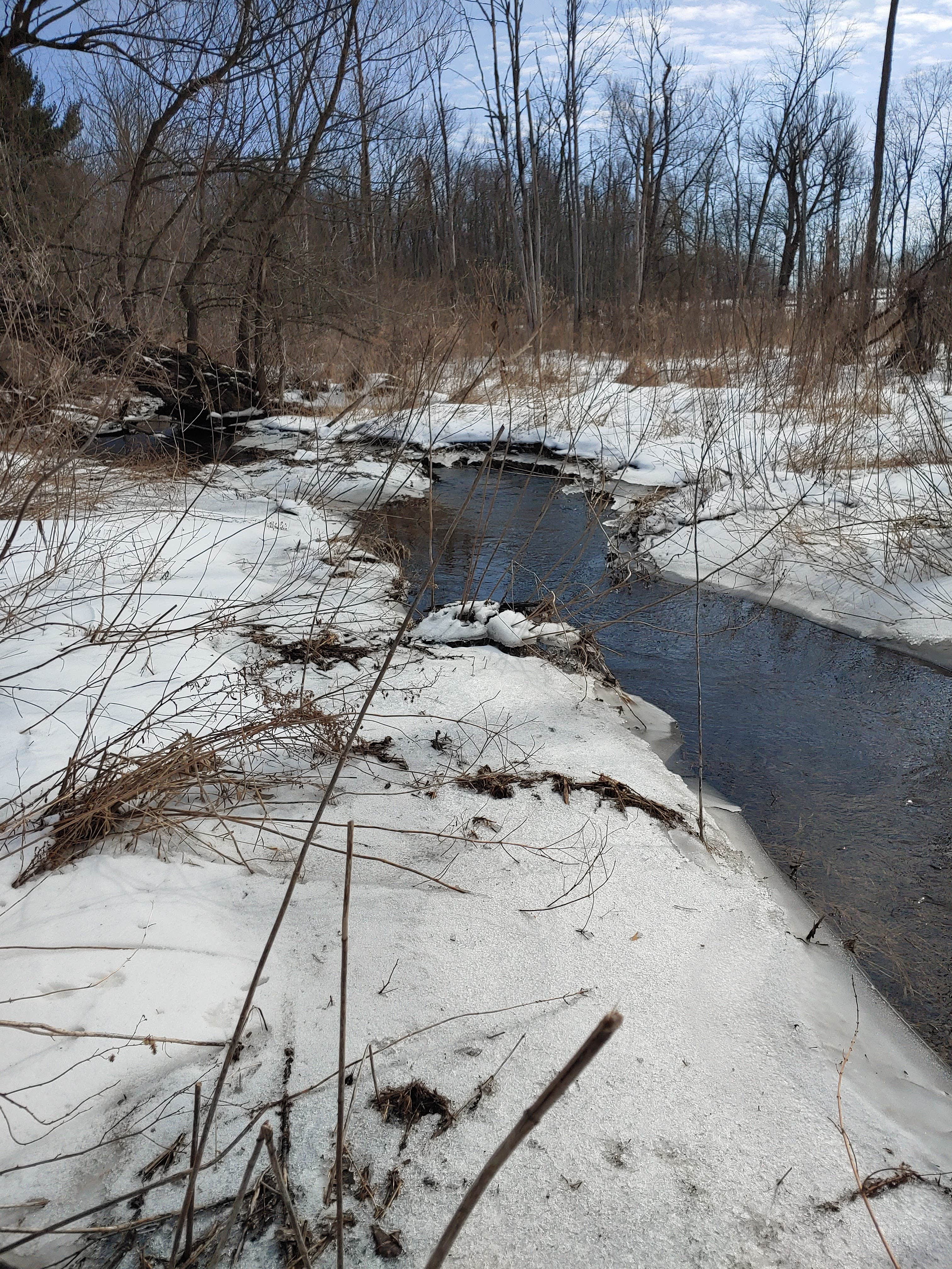 Camper-submitted photo at Future site of Little Creek Camp near Sodus Point, NY