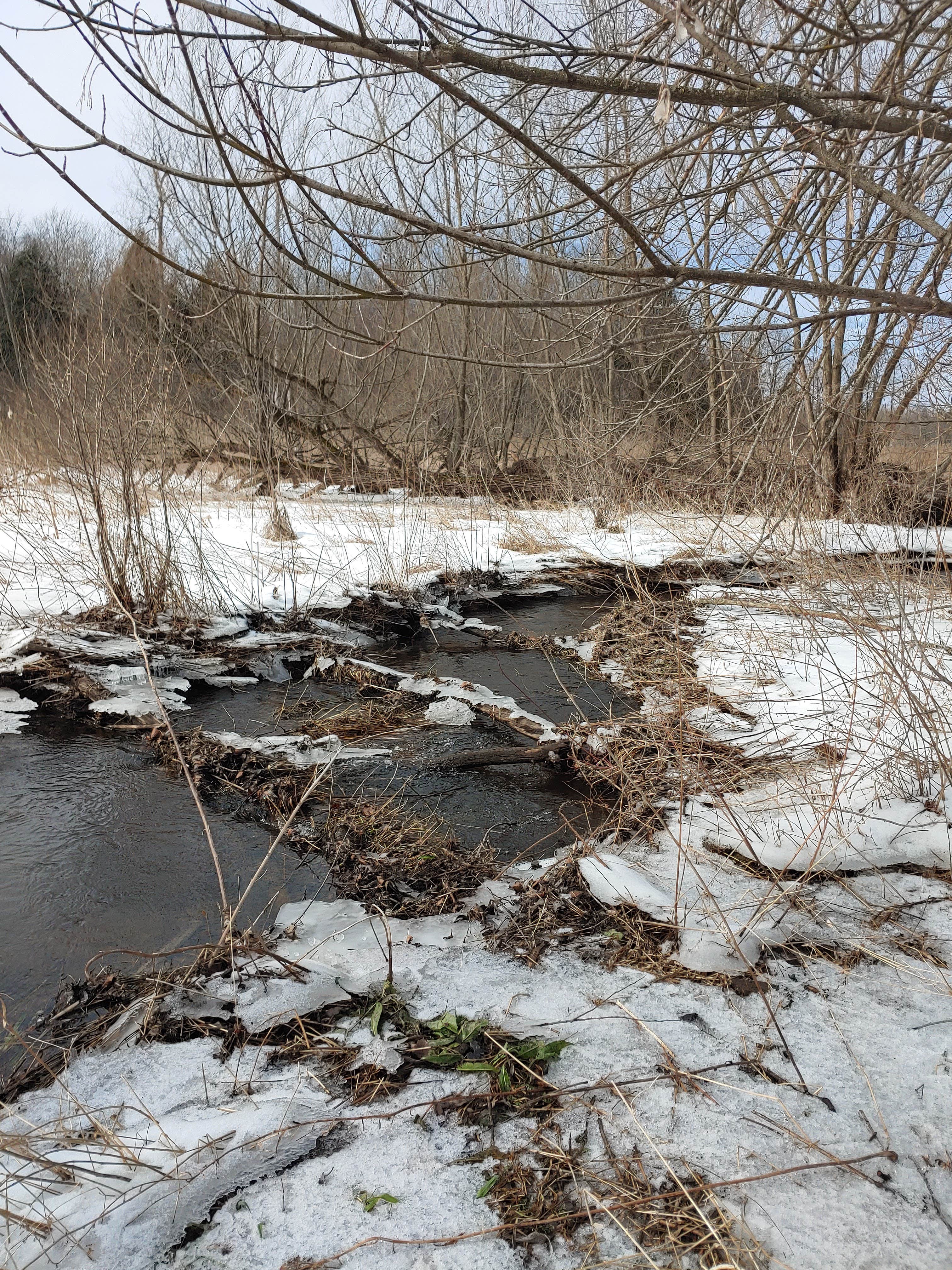 Camper-submitted photo at Future site of Little Creek Camp near Sodus Point, NY