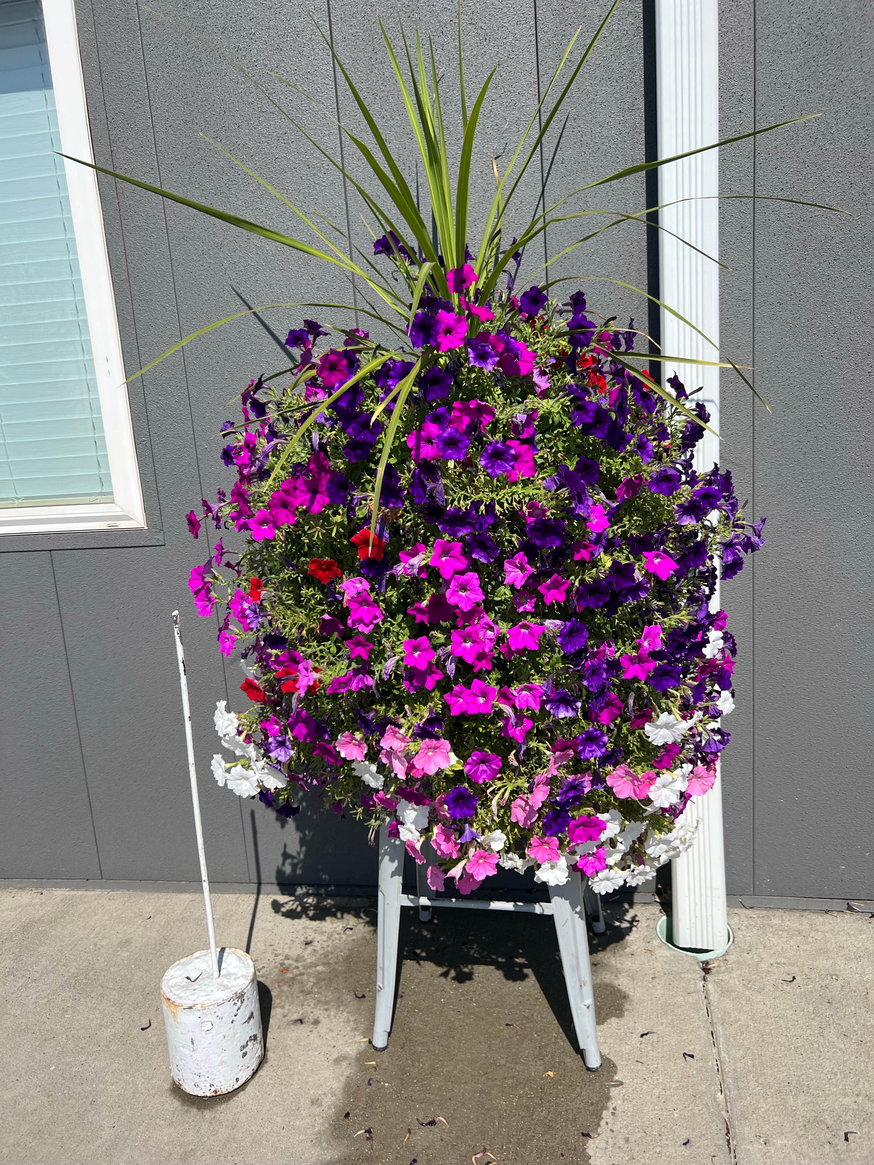 Camper-submitted photo at Sweetwater Event Complex Fairgrounds near Rock Springs, WY